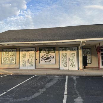 THE CANNABIS CLUBHOUSE LLC