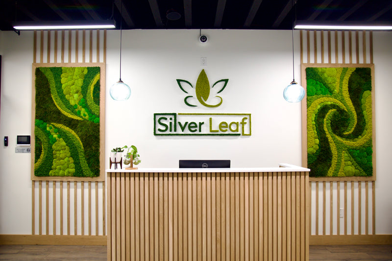 Silverleaf