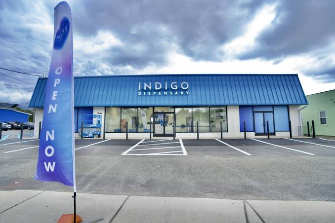 Indigo